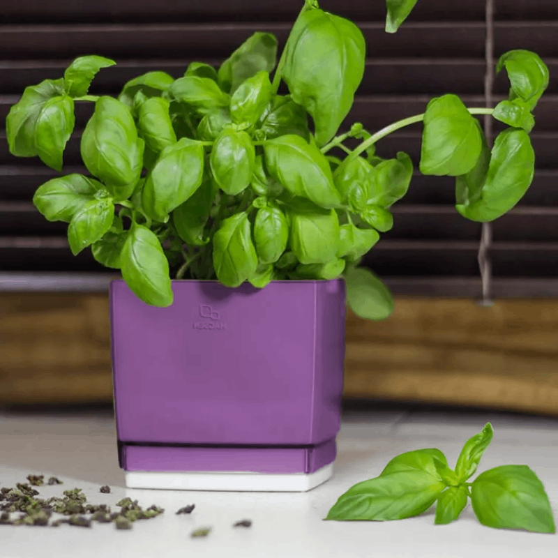 Lillepott Hagsen Square (1-5,2 liitrit)