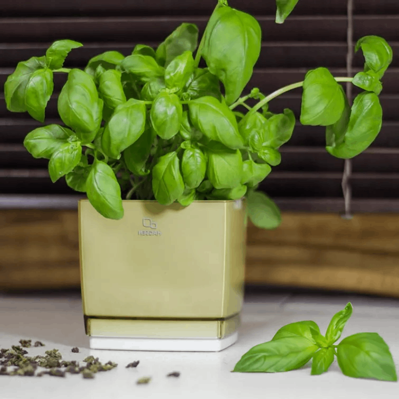 Lillepott Hagsen Square (1-5,2 liitrit) - Image 3